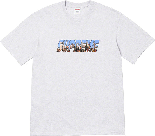 Supreme Gotham Tee (Ash Grey)